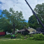 A boom truck in the 40-70 ton class, ideally one of your own crane photos rather than stock