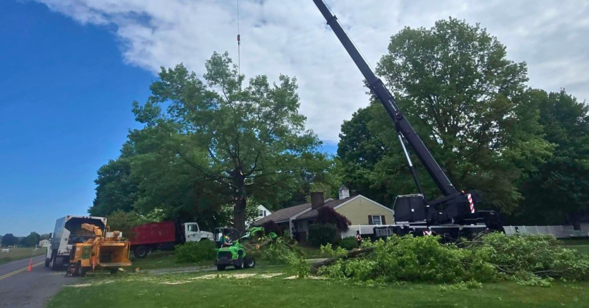 A boom truck in the 40-70 ton class, ideally one of your own crane photos rather than stock