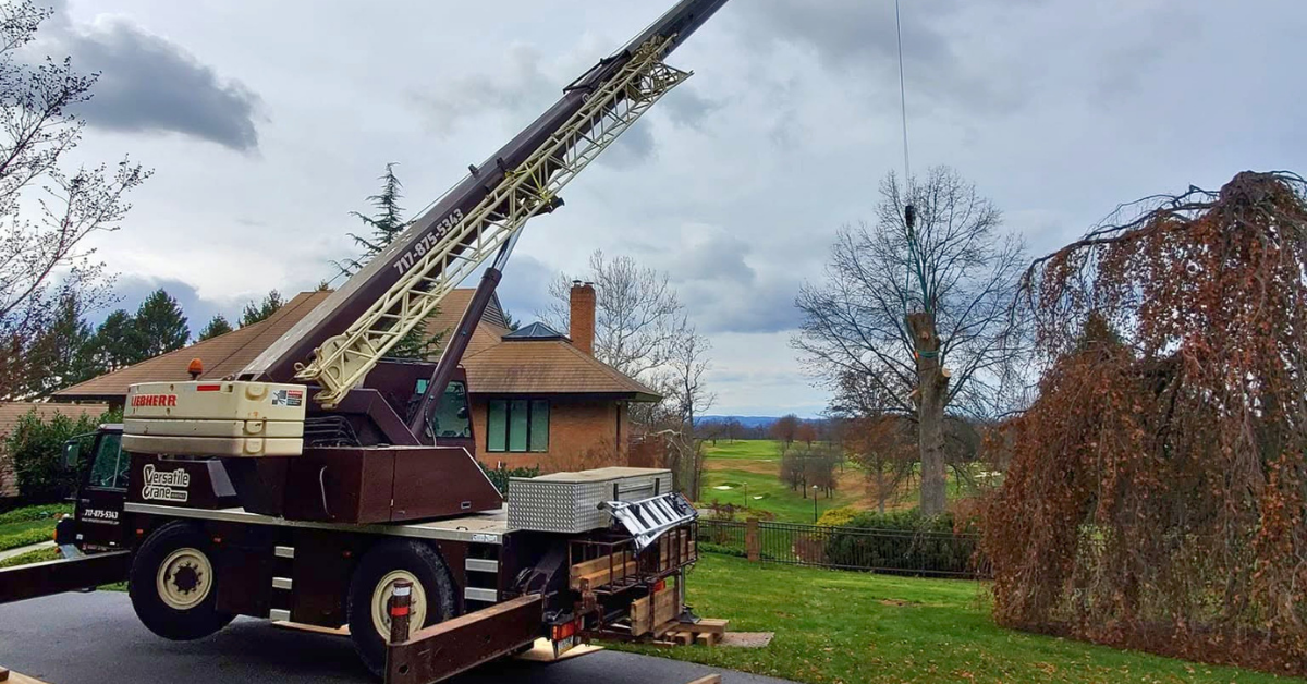Mobile crane lifting a large tree section during a crane-assisted tree removal in Lancaster County, PA